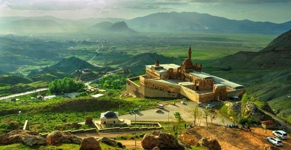Ağrı Çekici